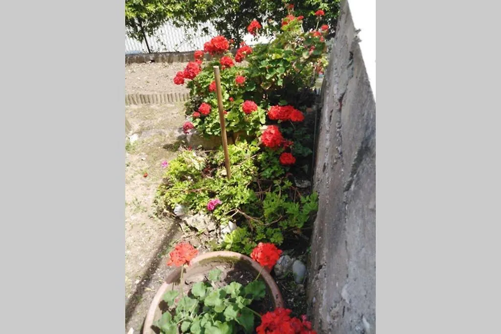 Moneghetti Apartment Beausoleil